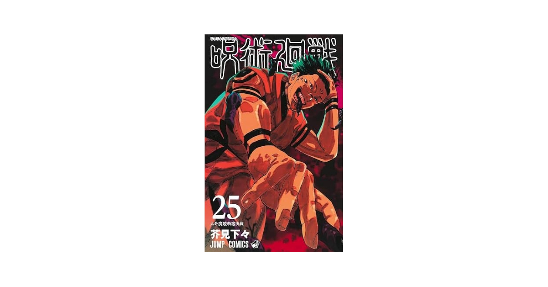 呪術廻戦 1-25巻+小説 Amazon.com: Jujutsu Kaisen 25 (Japanese Edition
